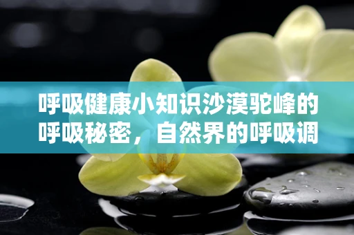 呼吸健康小知识沙漠驼峰的呼吸秘密，自然界的呼吸调节器