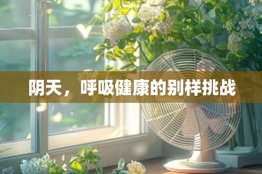 阴天，呼吸健康的别样挑战