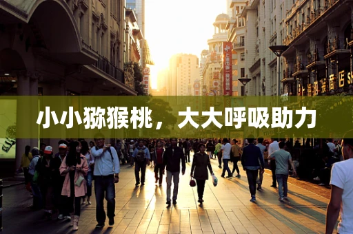 小小猕猴桃，大大呼吸助力