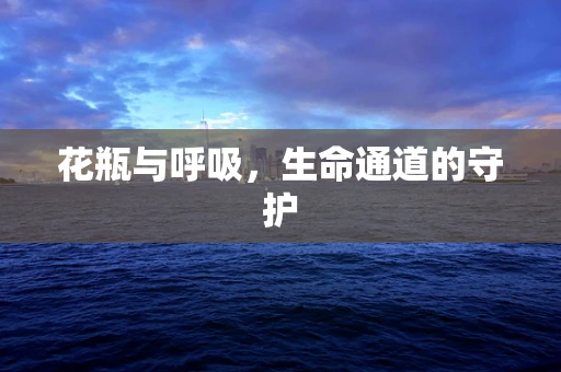 花瓶与呼吸，生命通道的守护