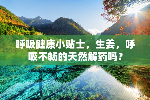 呼吸健康小贴士，生姜，呼吸不畅的天然解药吗？