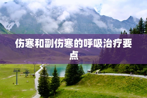 伤寒和副伤寒的呼吸治疗要点