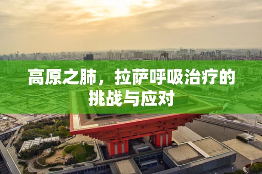 高原之肺，拉萨呼吸治疗的挑战与应对