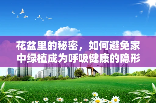 花盆里的秘密，如何避免家中绿植成为呼吸健康的隐形威胁？