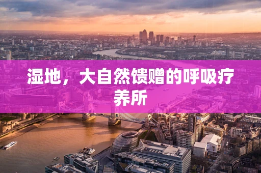 湿地，大自然馈赠的呼吸疗养所
