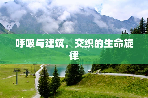 呼吸与建筑，交织的生命旋律