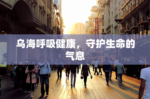 乌海呼吸健康，守护生命的气息