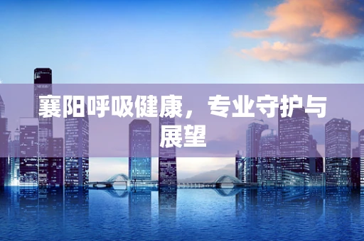 襄阳呼吸健康，专业守护与展望