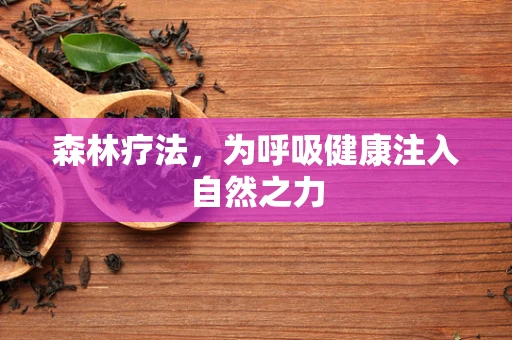 森林疗法，为呼吸健康注入自然之力
