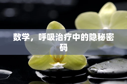数学，呼吸治疗中的隐秘密码