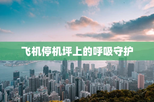 飞机停机坪上的呼吸守护