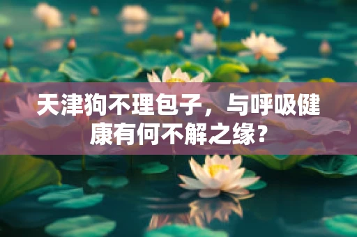 天津狗不理包子，与呼吸健康有何不解之缘？