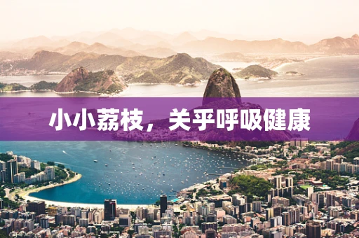小小荔枝，关乎呼吸健康