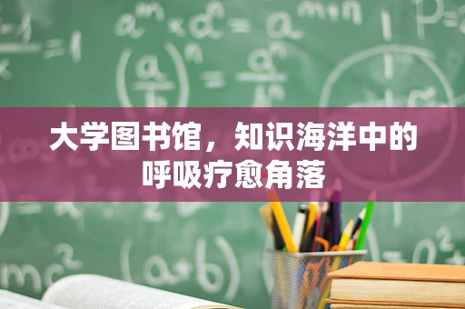 大学图书馆，知识海洋中的呼吸疗愈角落