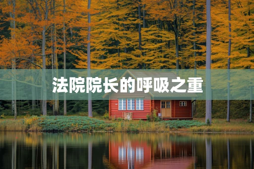 法院院长的呼吸之重