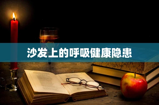 沙发上的呼吸健康隐患