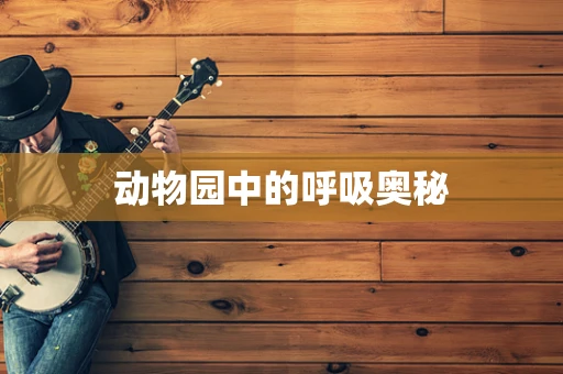 动物园中的呼吸奥秘