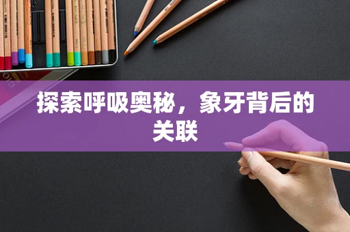 探索呼吸奥秘，象牙背后的关联