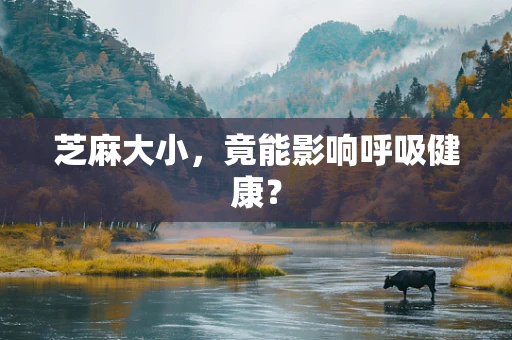 芝麻大小，竟能影响呼吸健康？
