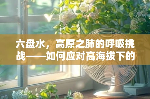 六盘水，高原之肺的呼吸挑战——如何应对高海拔下的呼吸治疗挑战？