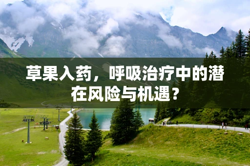 草果入药，呼吸治疗中的潜在风险与机遇？