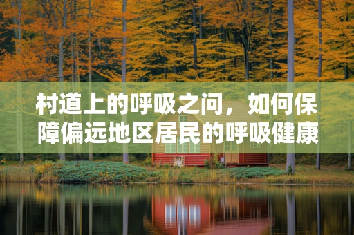 村道上的呼吸之问，如何保障偏远地区居民的呼吸健康？