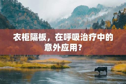 衣柜隔板，在呼吸治疗中的意外应用？