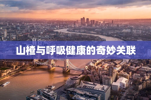 山楂与呼吸健康的奇妙关联