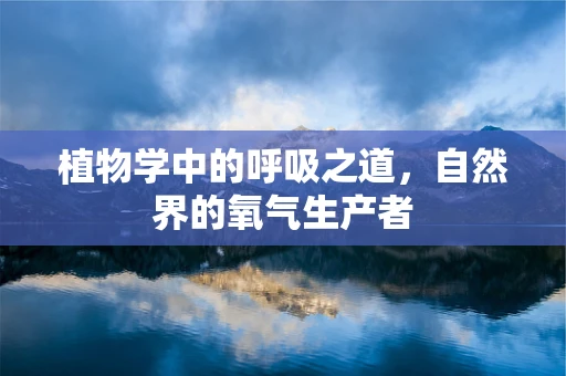 植物学中的呼吸之道，自然界的氧气生产者