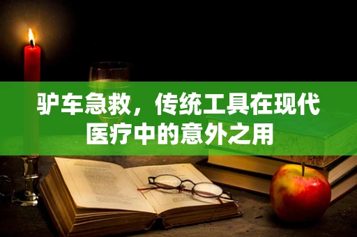 驴车急救，传统工具在现代医疗中的意外之用