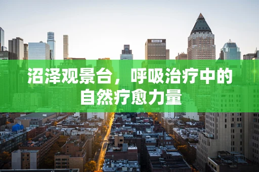 沼泽观景台，呼吸治疗中的自然疗愈力量