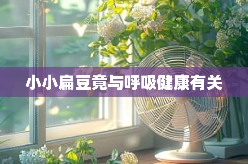 小小扁豆竟与呼吸健康有关