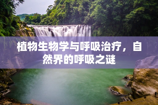 植物生物学与呼吸治疗，自然界的呼吸之谜