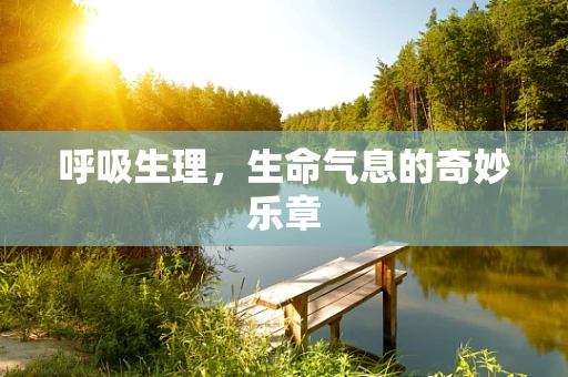 呼吸生理，生命气息的奇妙乐章