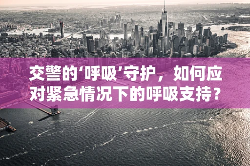 交警的‘呼吸’守护，如何应对紧急情况下的呼吸支持？