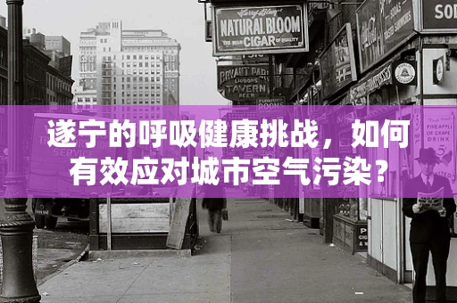 遂宁的呼吸健康挑战，如何有效应对城市空气污染？