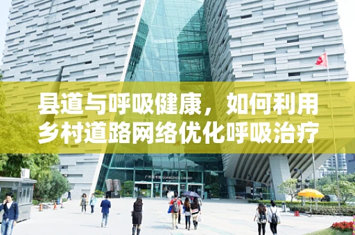 县道与呼吸健康，如何利用乡村道路网络优化呼吸治疗资源分配？