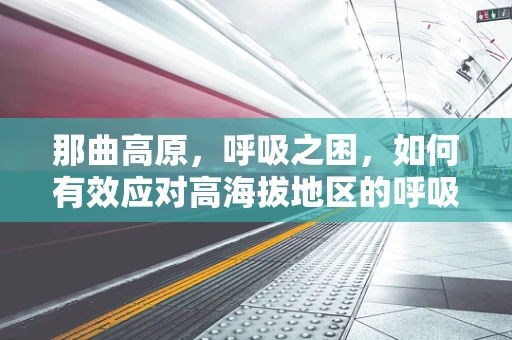 那曲高原，呼吸之困，如何有效应对高海拔地区的呼吸挑战？