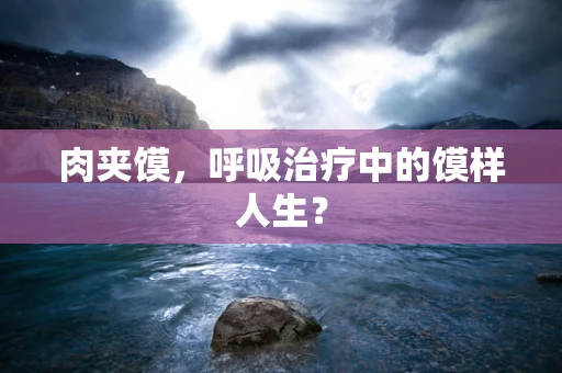 肉夹馍，呼吸治疗中的馍样人生？