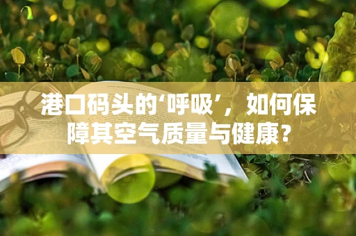 港口码头的‘呼吸’，如何保障其空气质量与健康？