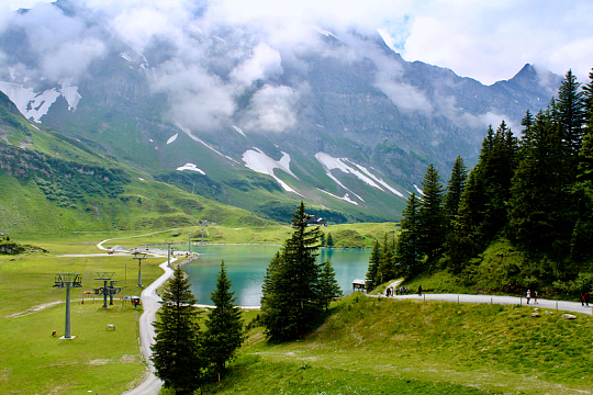 市郊列车上的呼吸挑战，如何应对突发哮喘？
