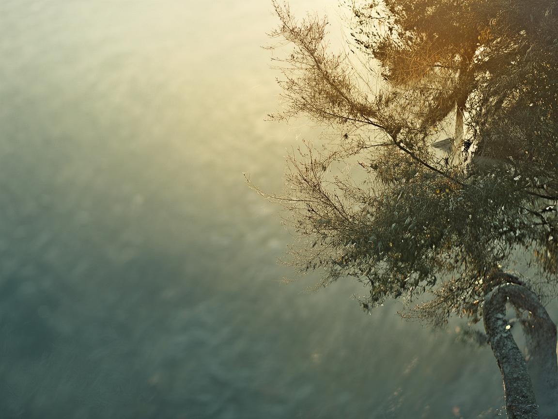 宇宙飞船中的呼吸治疗,如何保障宇航员的呼吸健康? 宇宙飞船中的呼吸治疗,如何保障宇航员的呼吸健康?